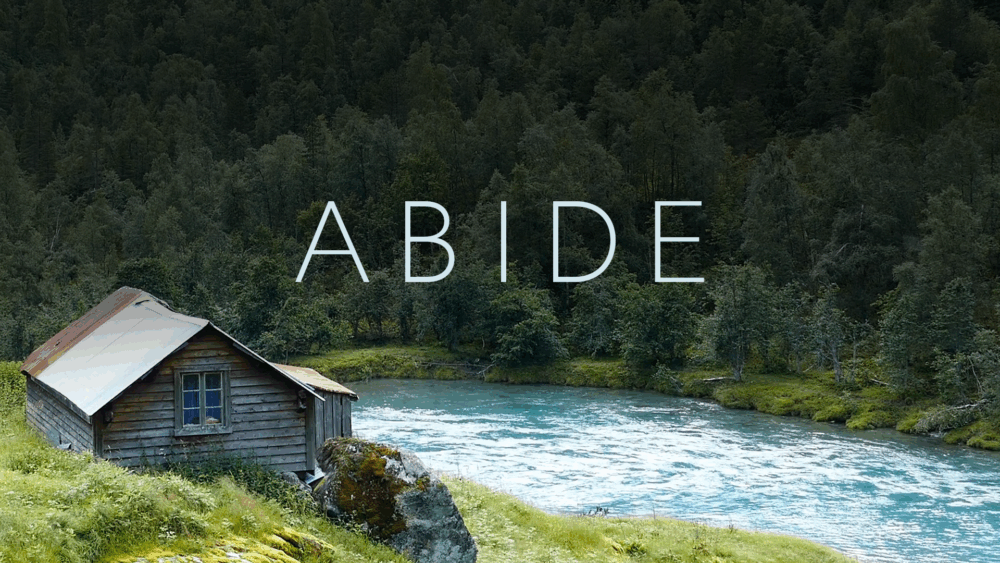 Abide